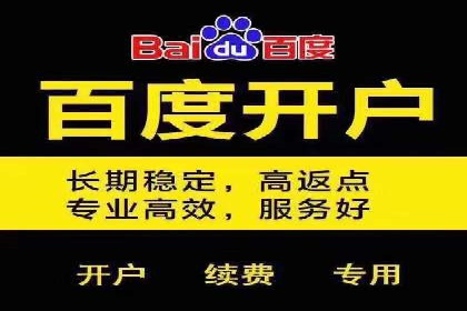 SEM代运营案例：优化搜索排名策略